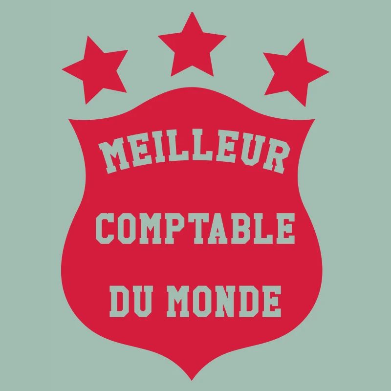 Accountant / Accounting / Comptable / Comptabilité