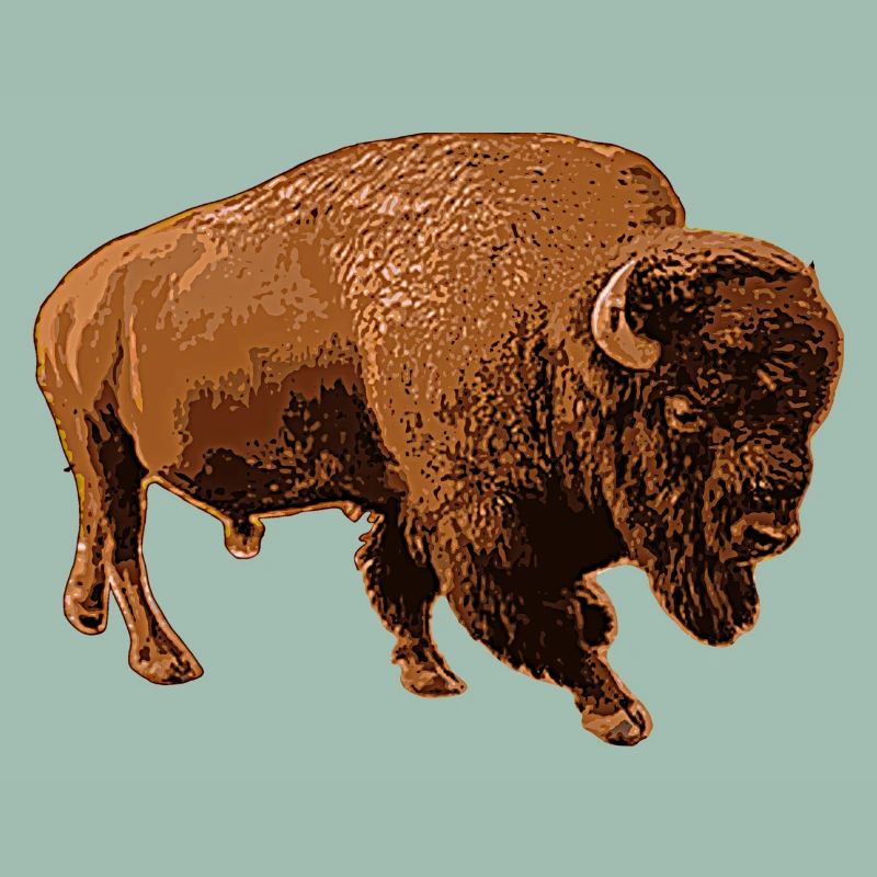 Bison