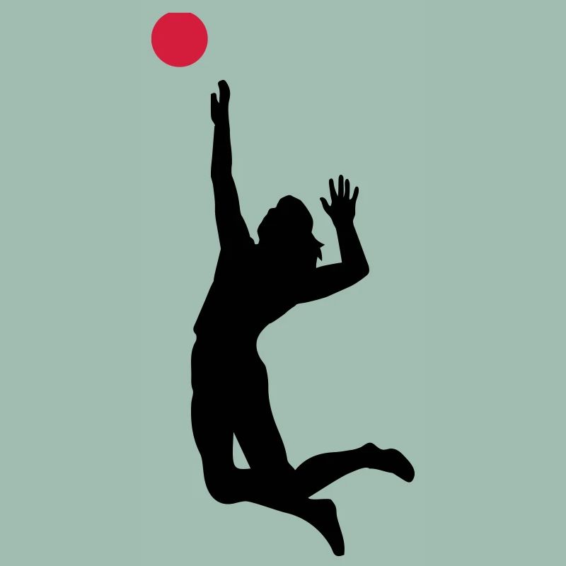 volleyball