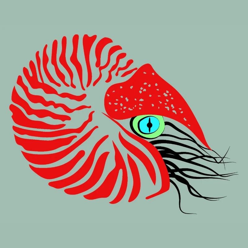 Perlboot, Ammonit, Kopffüßer, Nautilus