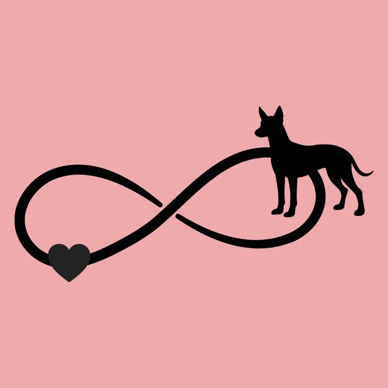 Xoloitzcuintle Unendlichkeit 