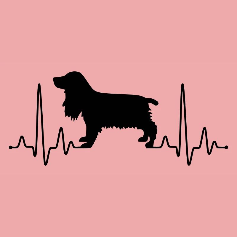 Cocker Spaniel Plus