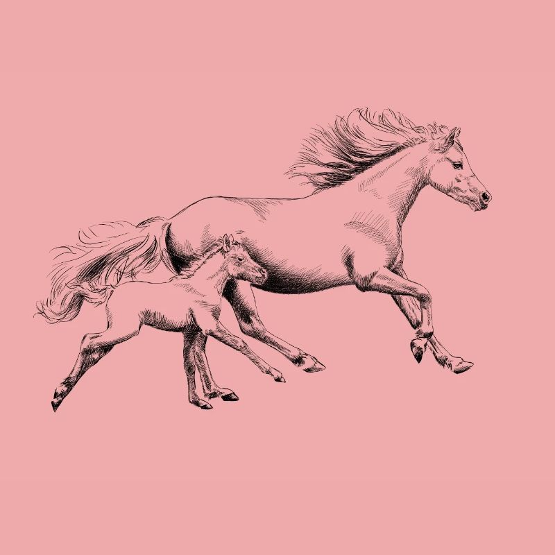 Mare with foal