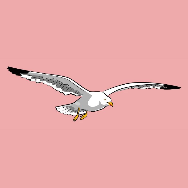 gull