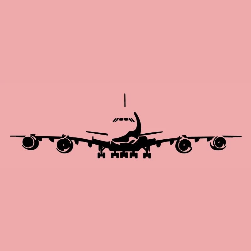 Passagierflugzeug