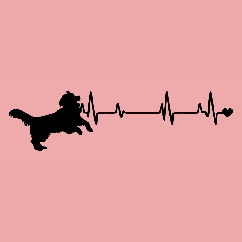 Hund