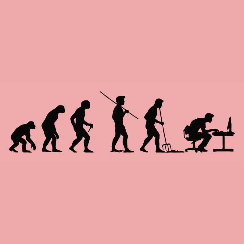 Programmer Evolution Computer Scientist Developer