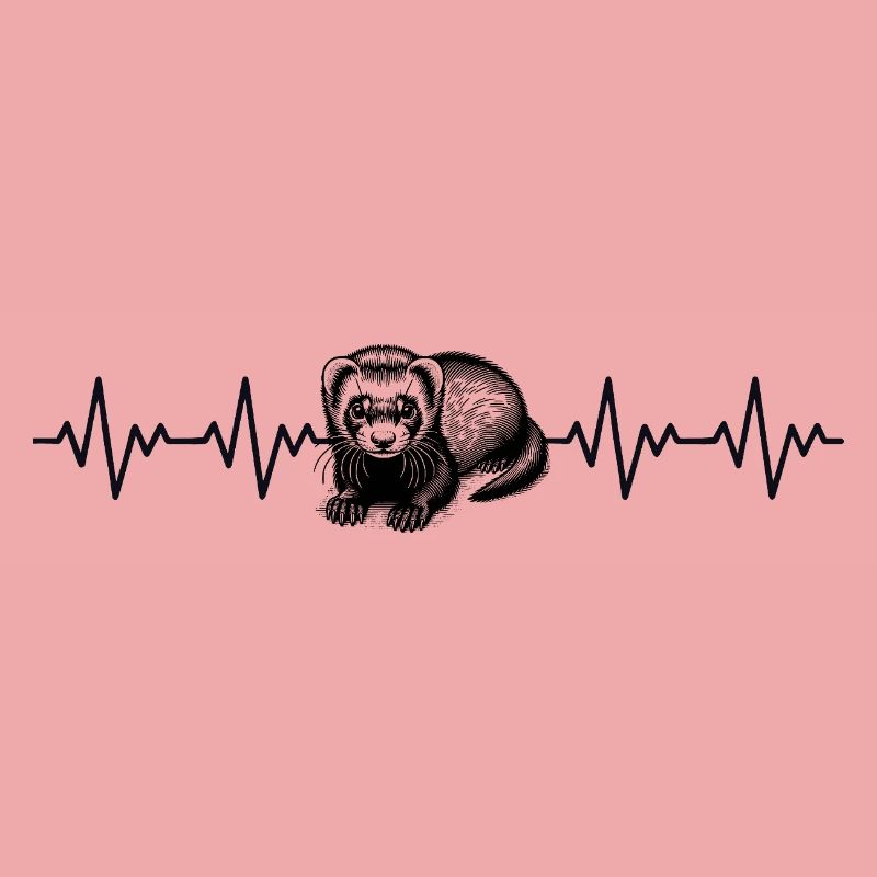 Frettchen EKG Herzschlag