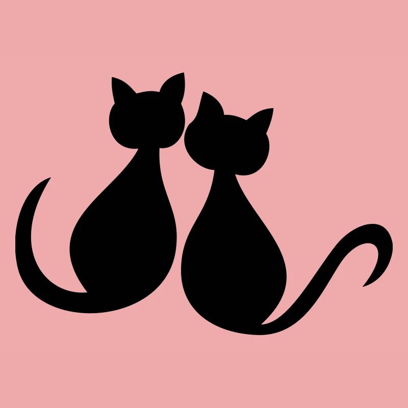 Les chats adorent la Saint-Valentin