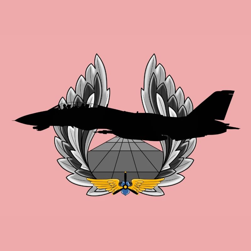 F-14 Tomcat