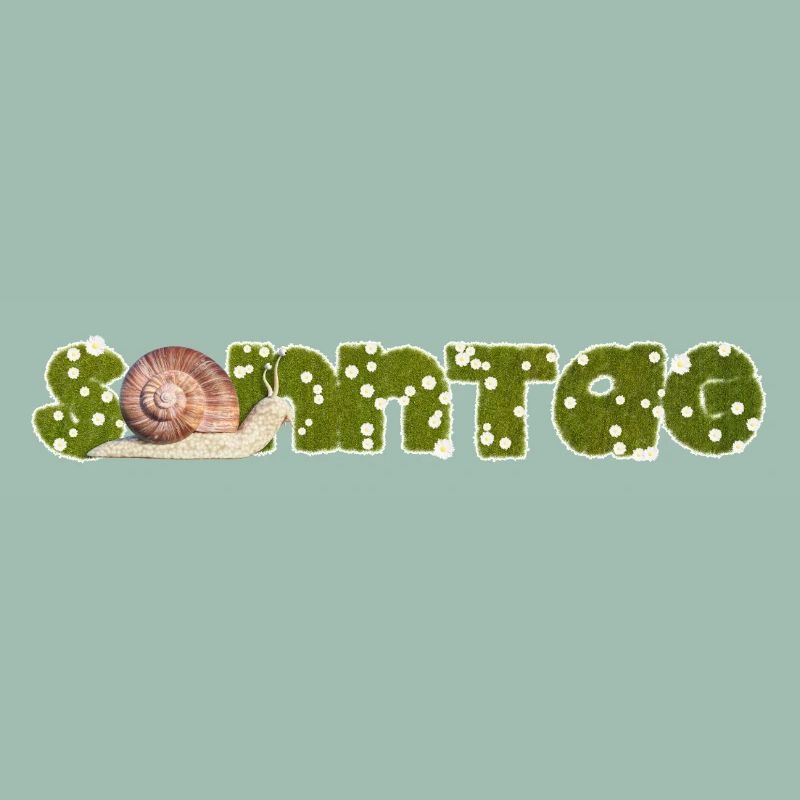 Escargot du dimanche