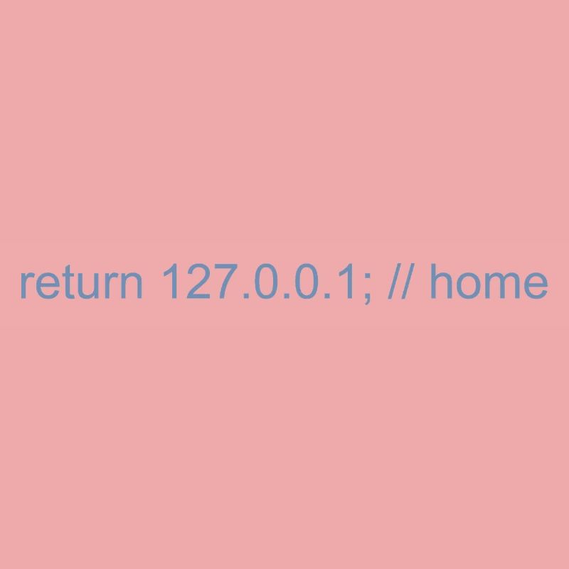 Programmer Nerd IT Joke Developer Home
