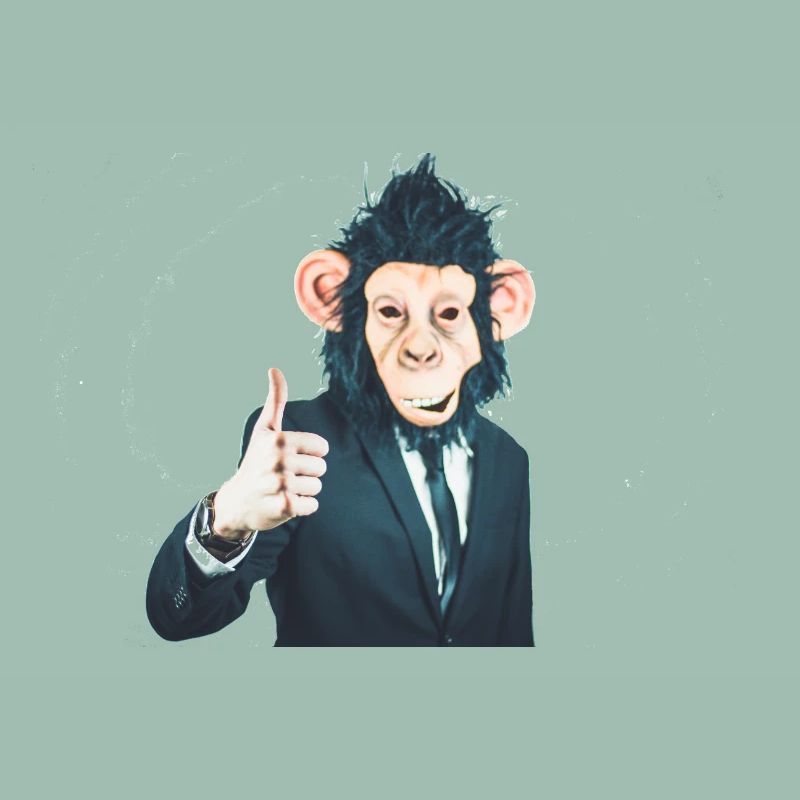 MONKEY