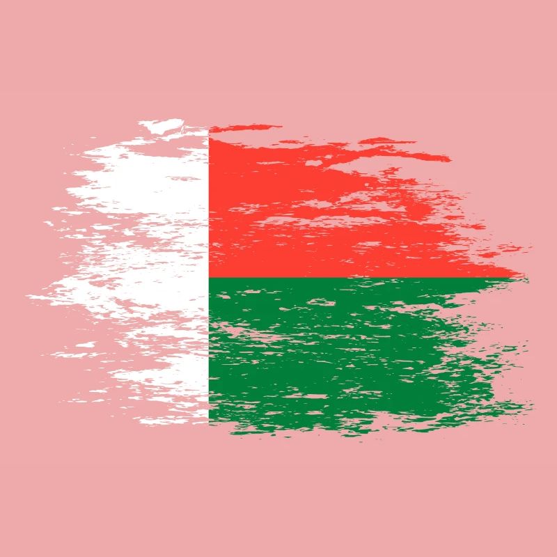 Drapeau de Madagascar utilisé