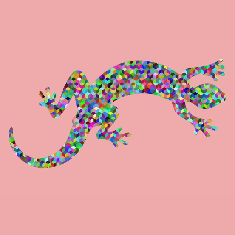 Gecko, Salamander, patterncontest
