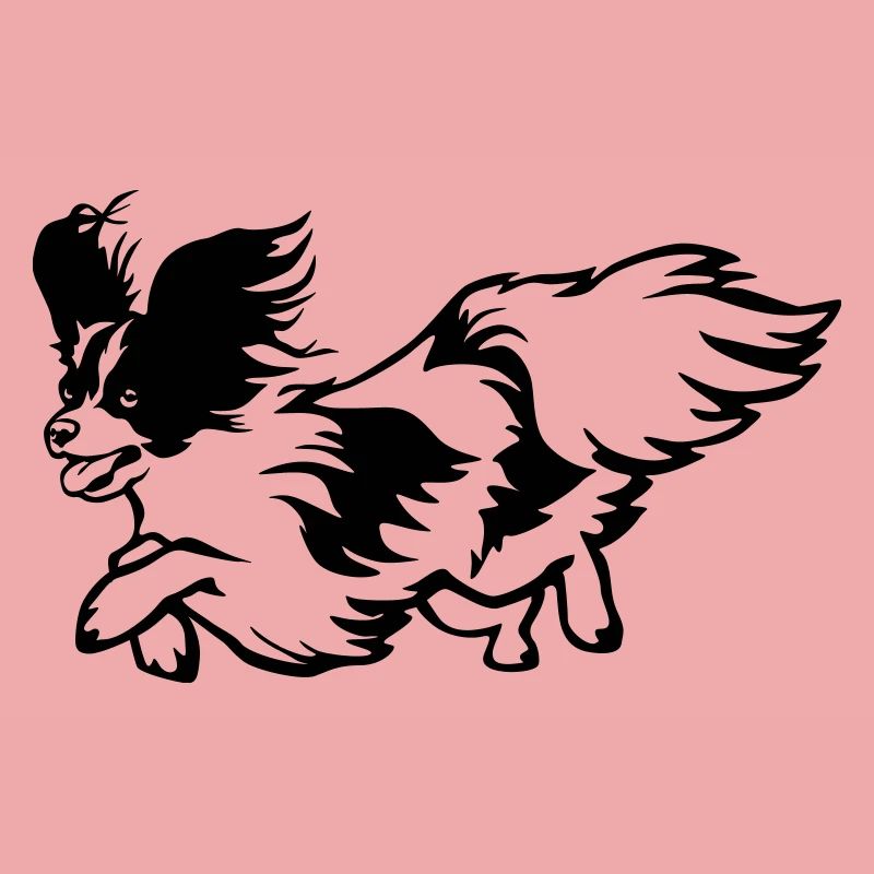 Papillon