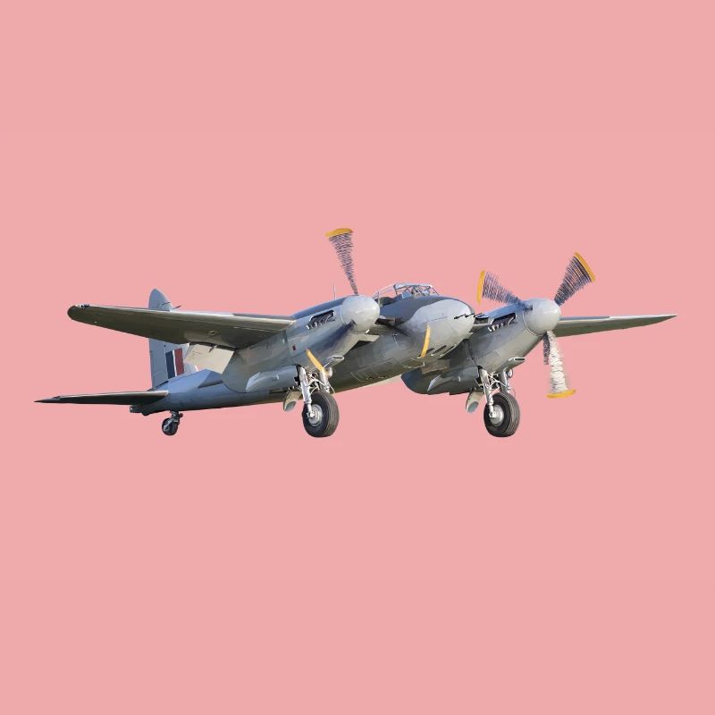 Mosquito