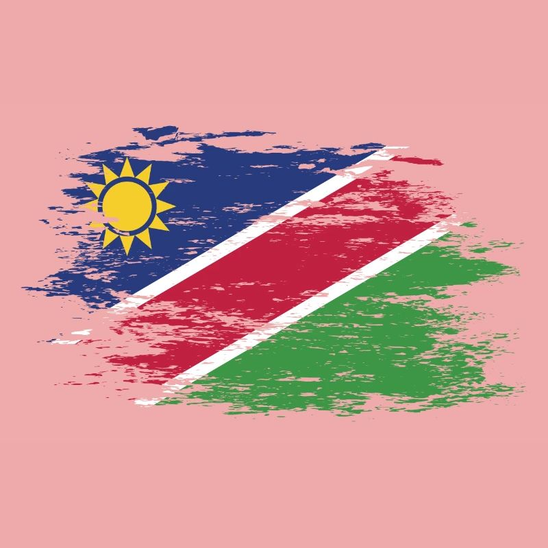 Namibia flag used