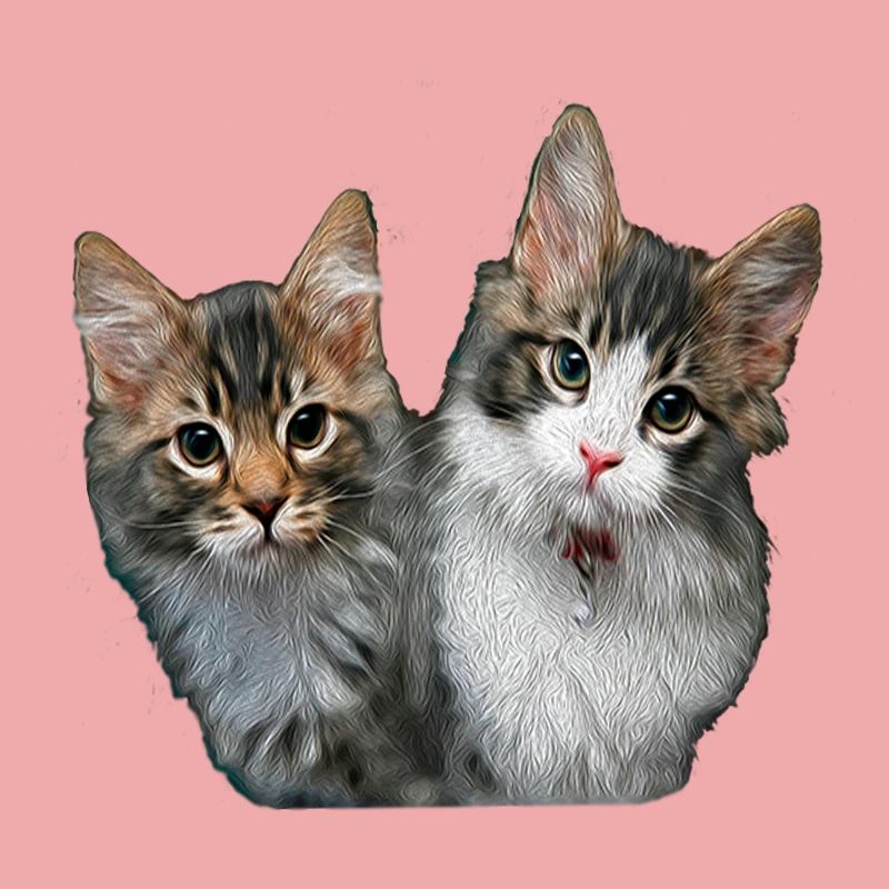 Chatons