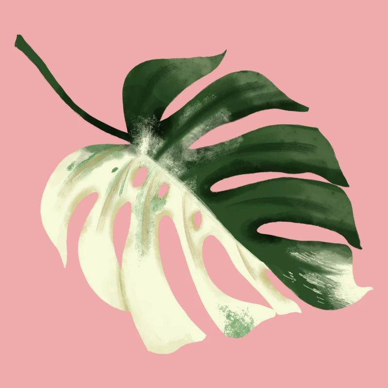 Conception premium Monstera