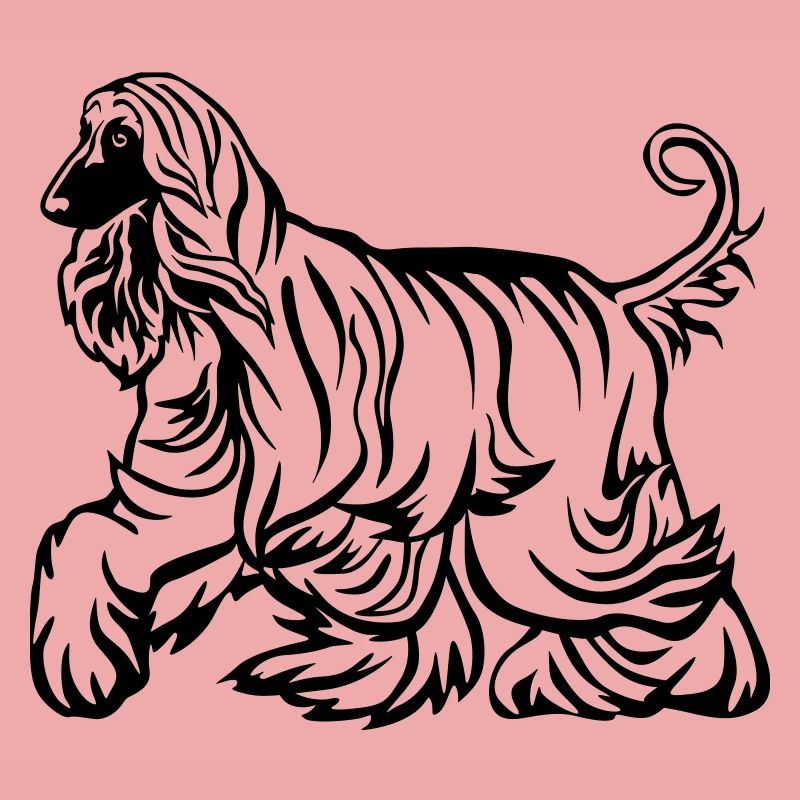 Afghane