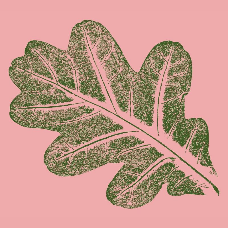 Oak leaf