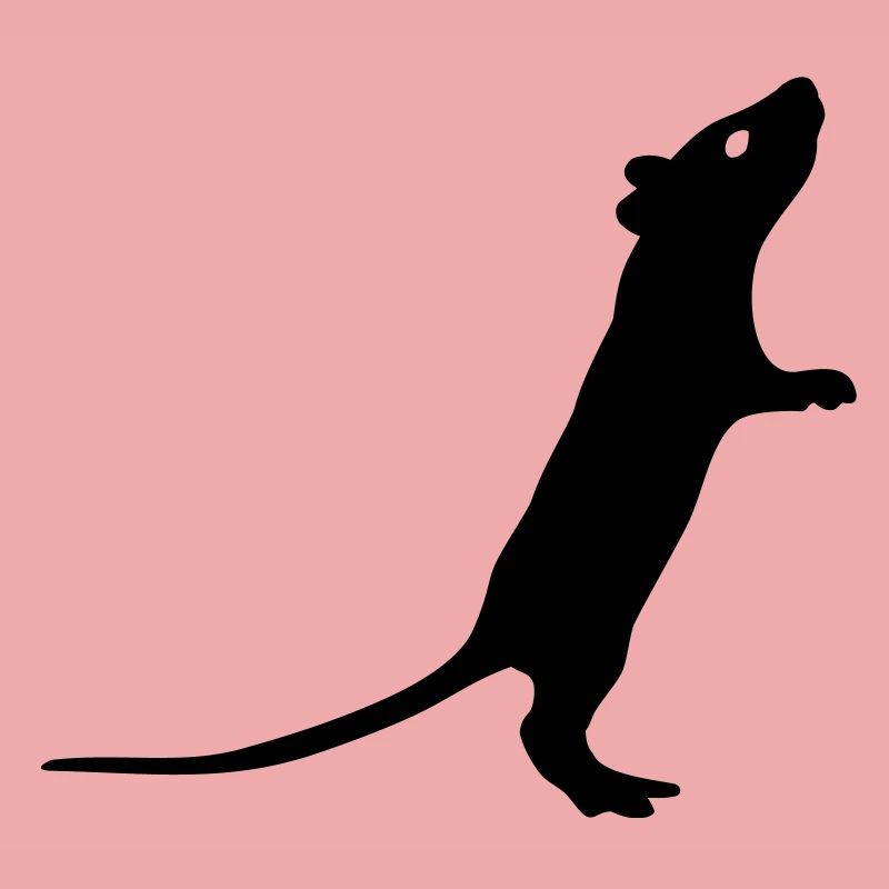 Ratte
