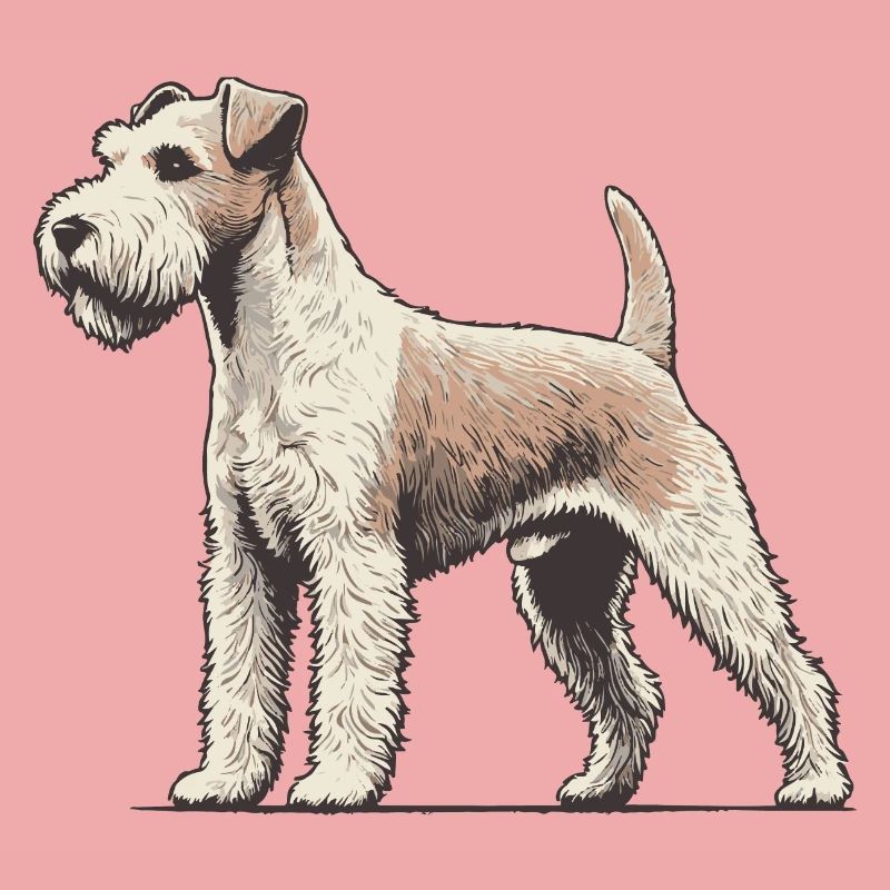 Terrier