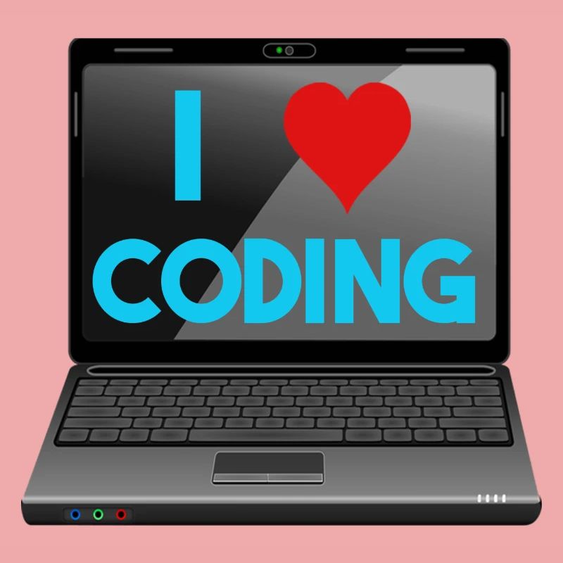Programmation, programmeurs, informaticiens