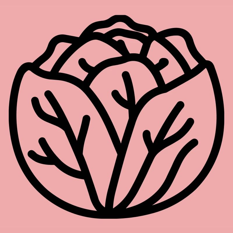 cabbage