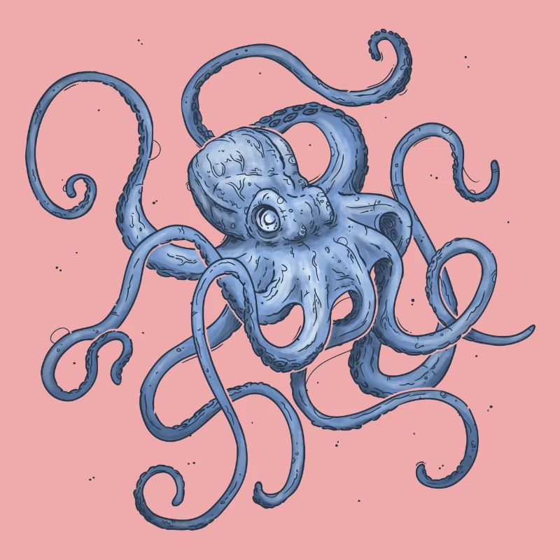 Octopus