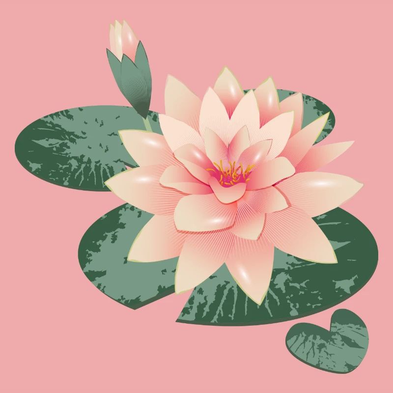 Fleur de nénuphars avec bourgeon dans l’étang de nénuphars
