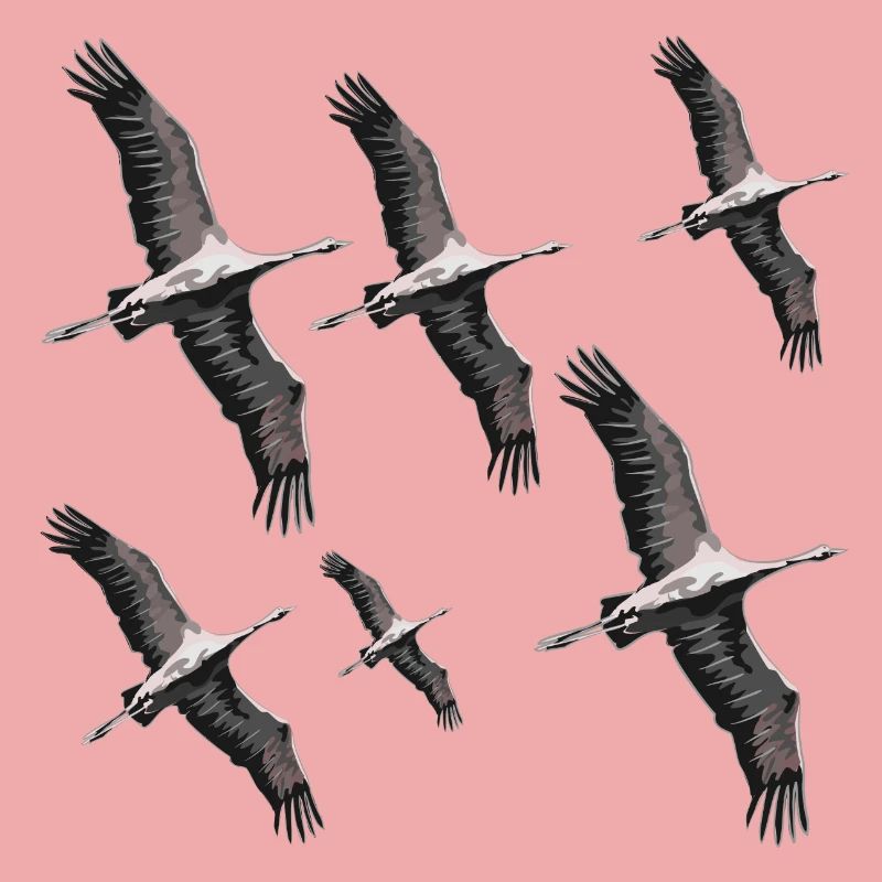 Vogelzug Kraniche