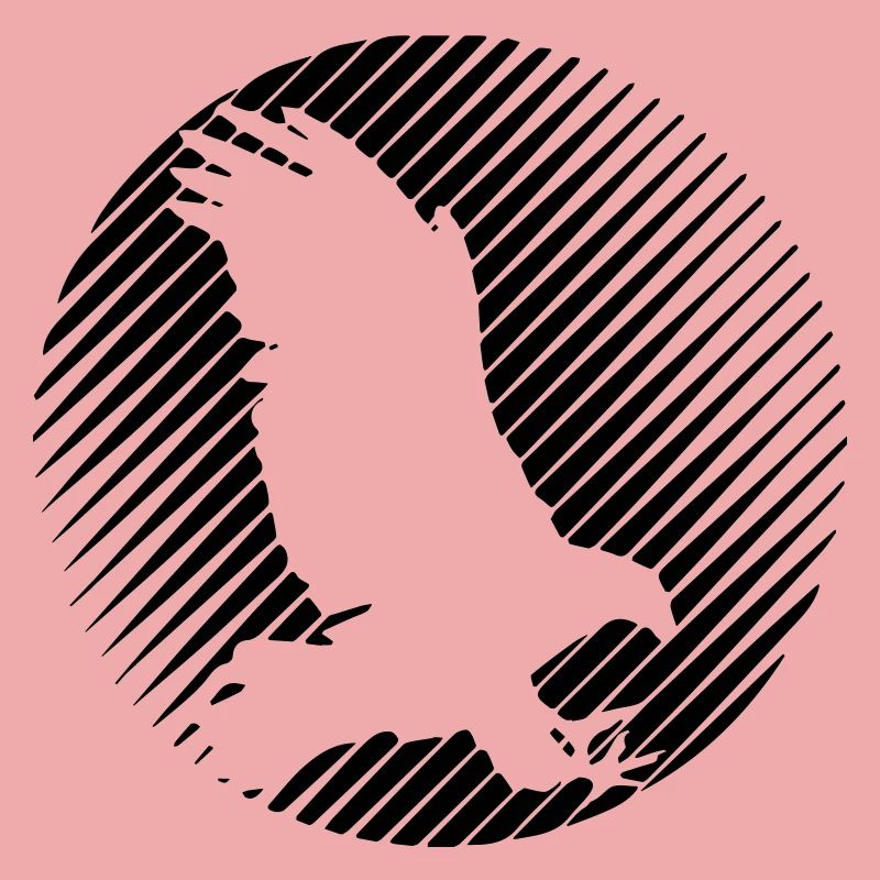 HAWK 0.1