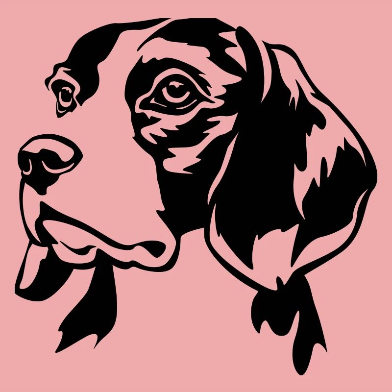 Beagle head