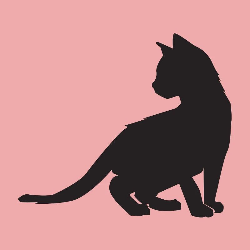 Kitten design