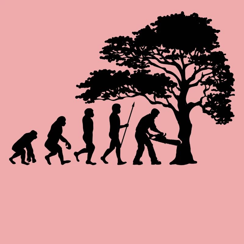 Lumberjack Tree Evolution Saw Sawdust