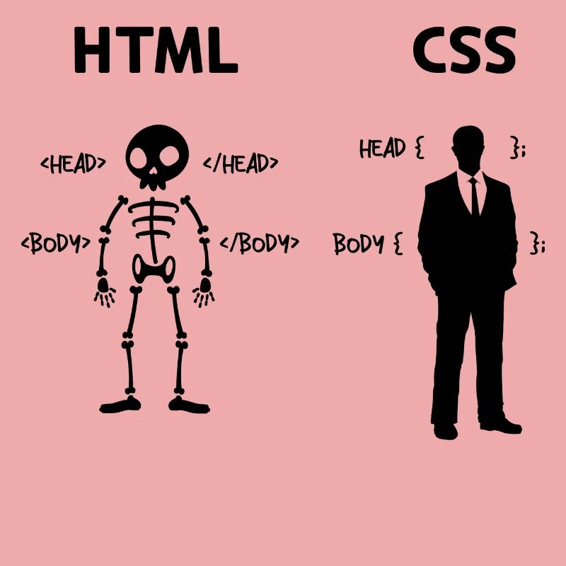 Développeur Programmeur Coden Code de script CSS