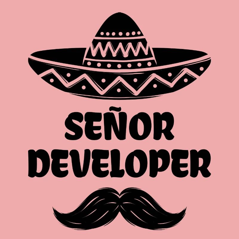 Déclaration du développeur Scripting Dev Computergeek