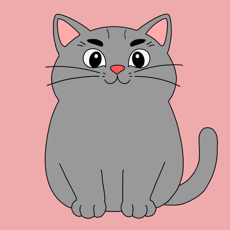 Graue Katze