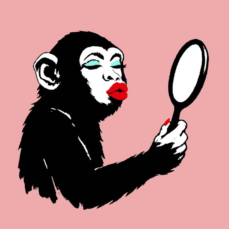 Vain monkey lady with mirror
