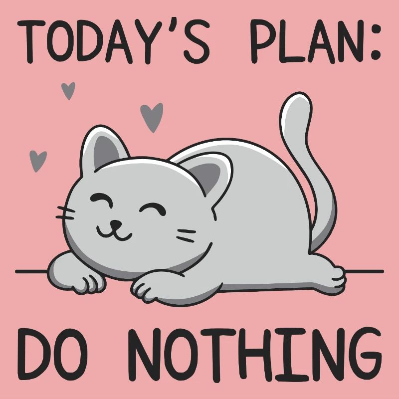 Le plan du jour