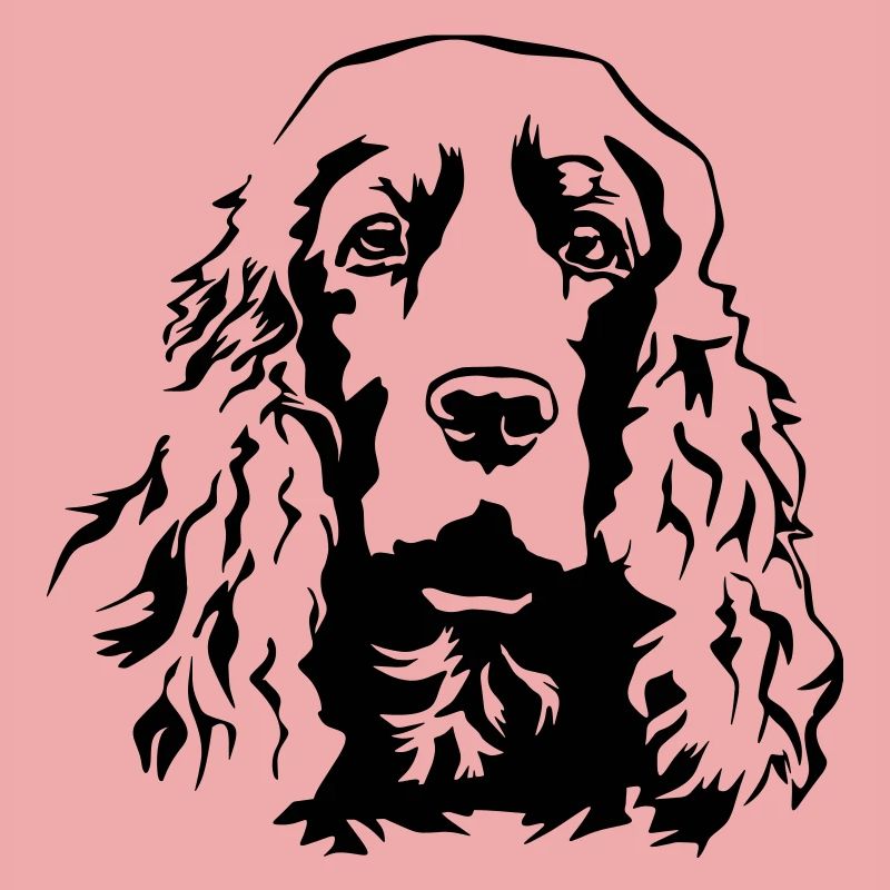 Cocker Spaniel head