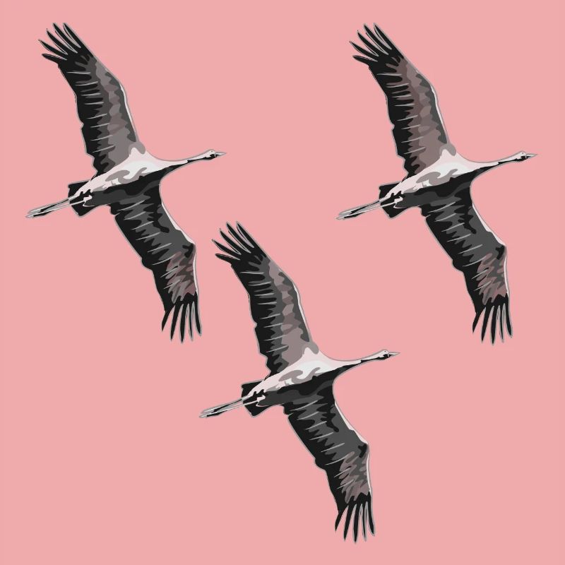 Grues migratrices d’oiseaux dans les tons de gris