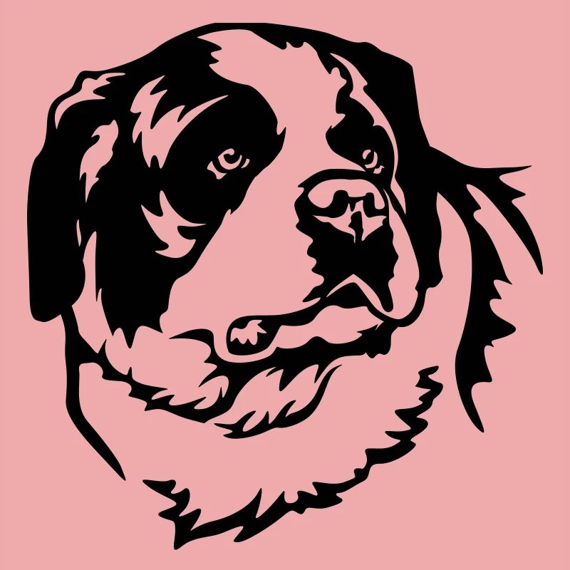 St. Bernard's Head