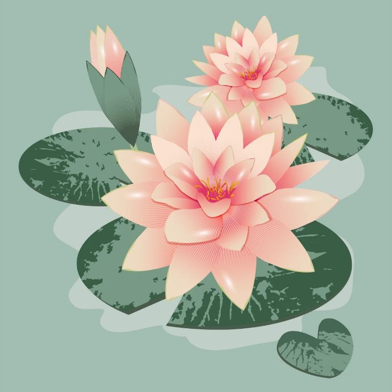 Fleurs de nénuphars avec bourgeon dans l’étang de nénuphars