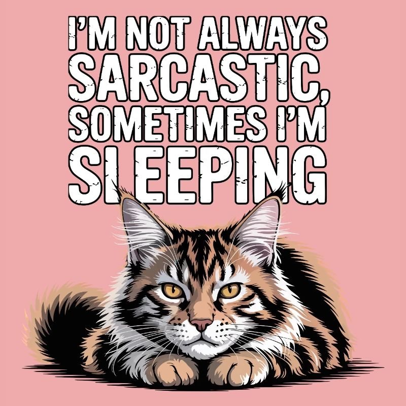 Sarkastischer Katzenschlaf