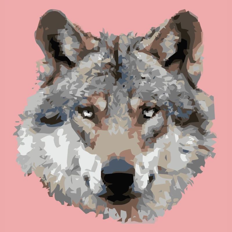 Wolf (grau)