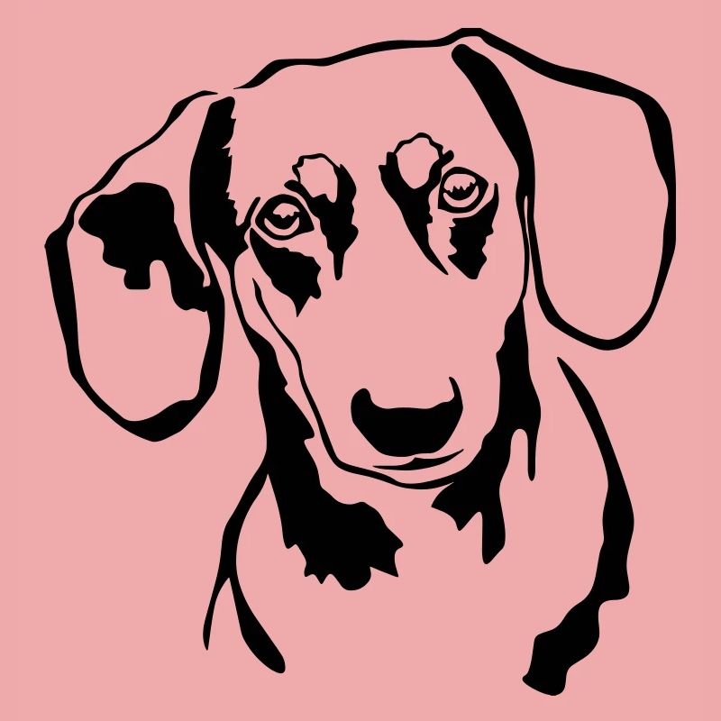 Dachshund head