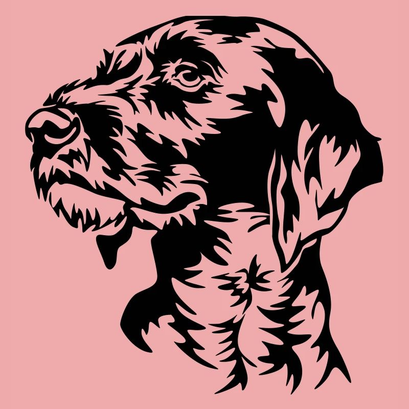 German Wirehaired Pointer head